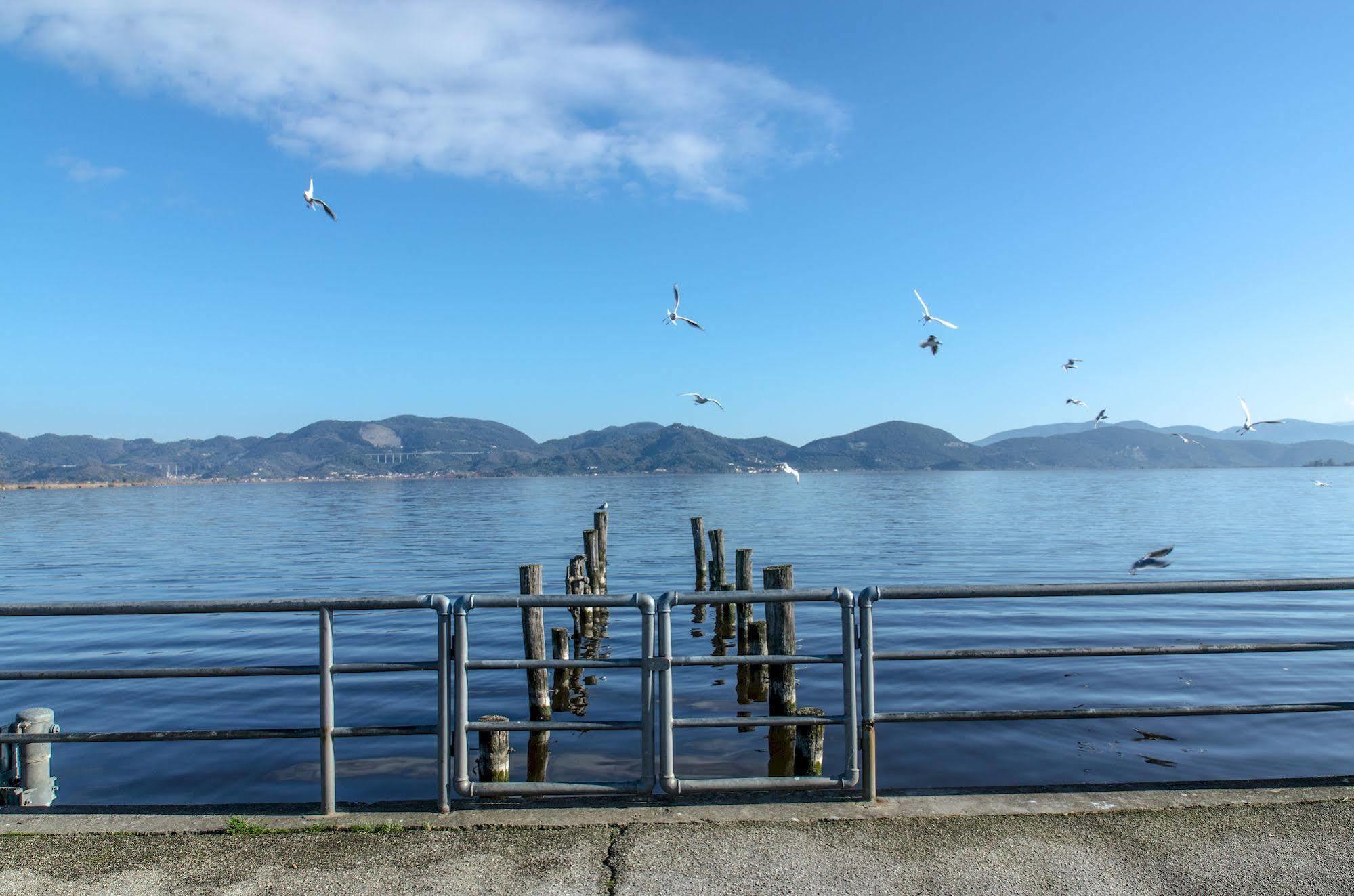 Hotel Butterfly Torre del Lago Puccini Zewnętrze zdjęcie